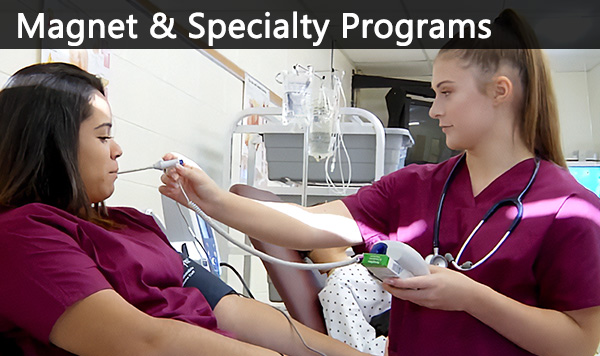 Magnet & Specialty Programs