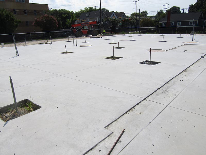 Media Center, Library